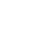 Other Insurance
