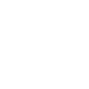 Property Insurance
