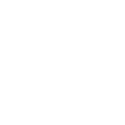 Vehicle Insurance